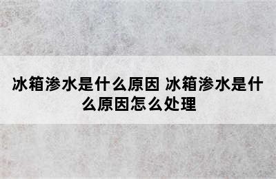 冰箱渗水是什么原因 冰箱渗水是什么原因怎么处理